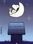 pic for snoopy at night